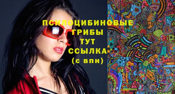 дмт Осинники