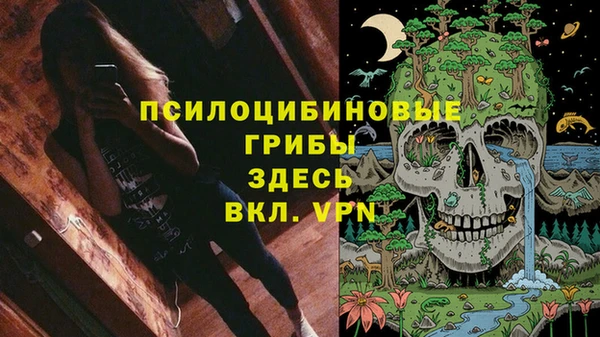 дмт Осинники