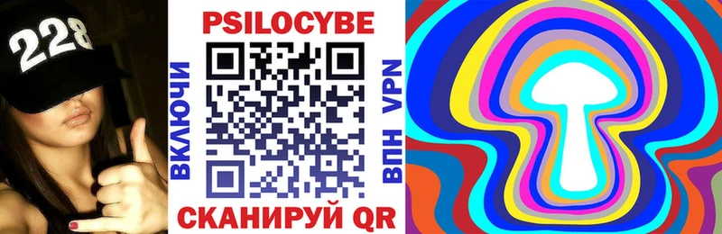 Псилоцибиновые грибы Psilocybe  Купить где  Северская 